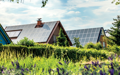 Quel est l’impact de la «valeur verte» sur le prix de vente de votre habitation?